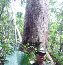 Kiểm lâm phải ăn cơm với...nòng nọc